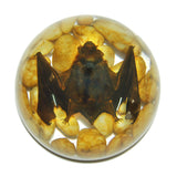 Real Bat In Resin - Half Dome Type Real Nature Gift