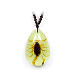 Real Bark Scorpion Necklace Teardrop Shaped Glows In The Dark Real Nature Gift