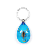 Real Bark Scorpion Keychain Teardrop Shape Blue Real Nature Gift