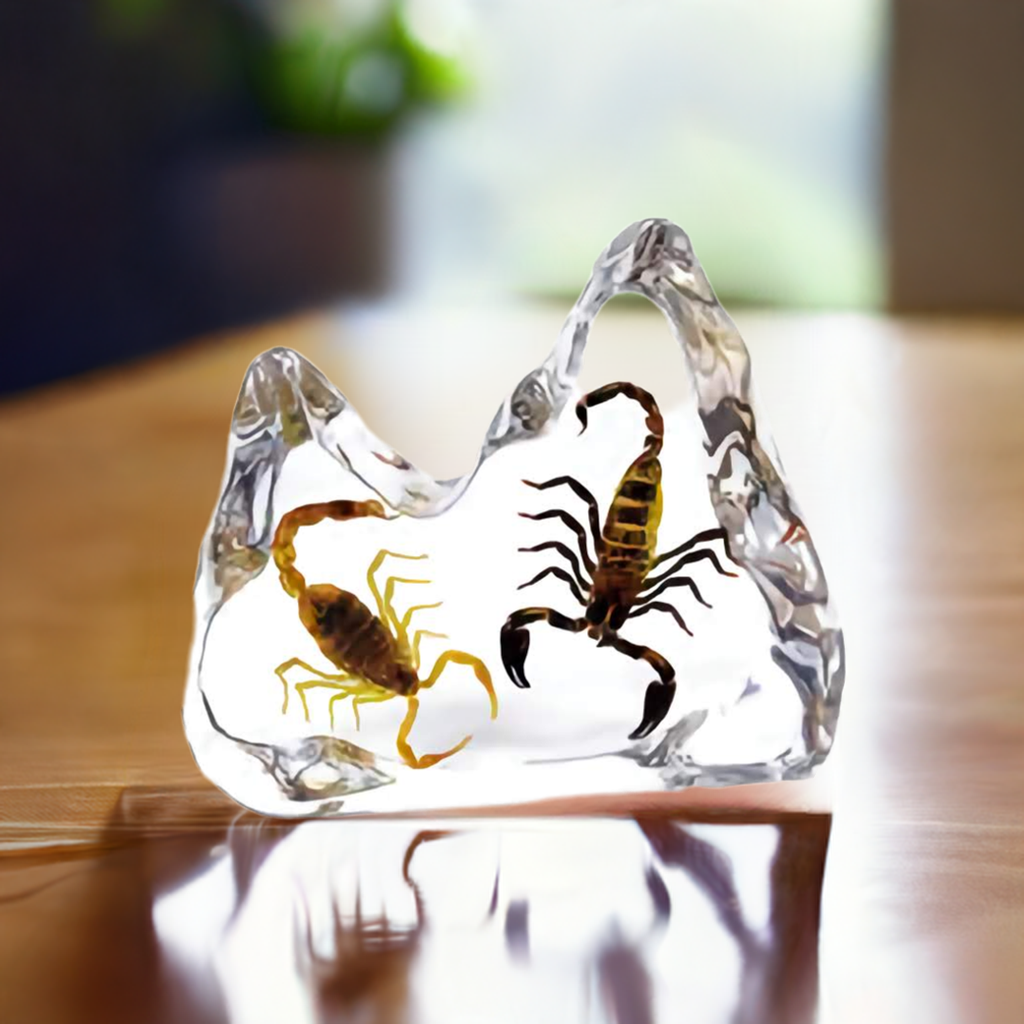 Real Bark Scorpion & Black Emperor Scorpion Desktop Decoration Real Nature Gift