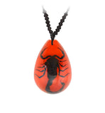 Real Black Scorpion Necklace In Red Lucite Real Nature Gift Jewelry With Box