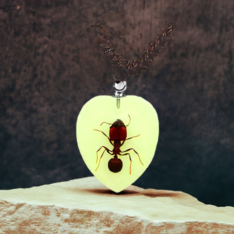 Real Ant Necklace Heart Shaped Glow In The Dark Real Nature Gift