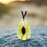 Real Bark Scorpion Necklace Teardrop Shaped Glows In The Dark Real Nature Gift