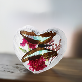 Real Butterfly Heart Shape Desktop Real Nature Gift