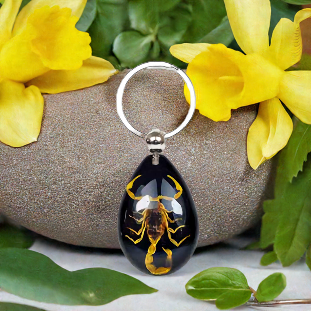 Real Bark Scorpion Keychain Teardrop Shape Black Real Nature Gift