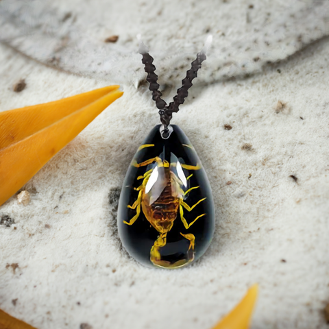 Real Bark Scorpion Necklace Teardrop Shape Black Real Nature Gift