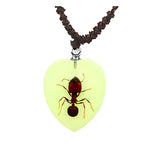 Real Ant Necklace Heart Shaped Glow In The Dark Real Nature Gift