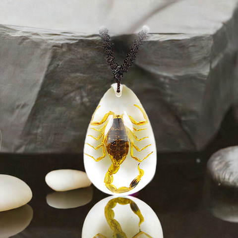 Real Bark Scorpion Necklace Teardrop Shaped Clear Real Nature Gift