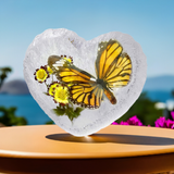 Real Butterfly Monarch Heart Shape Desktop Real Nature Gift