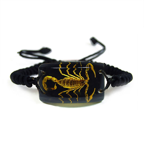 Real Bark Scorpion Bracelet Rectangle Shaped Black Real Nature Gift