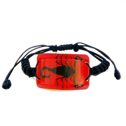 Real Bark Scorpion Bracelet Rectangle Shaped Red Real Nature Gift